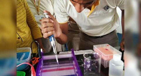 Genetics-in-real-life