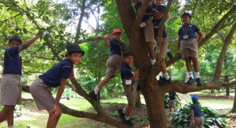 Grade-3,-4-and-5-trip-to-Nutmeg-Greens.