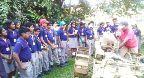 Students participating in an outdoor group activity promoting teamwork