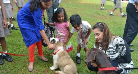 Students interacting and caring for animals as part of an educational visit