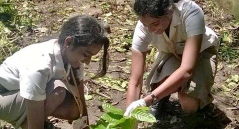 Kids-for-Kochi-plants-trees