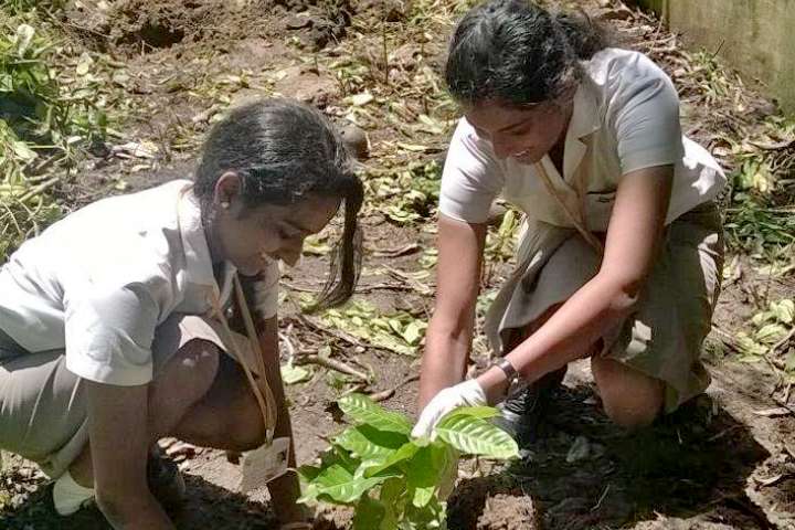 Kids-for-Kochi-plants-trees