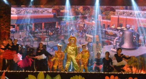 Magical-Madagascar-on-World-Animal-Day!