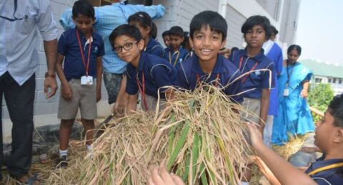 Nature-and-Science-Club