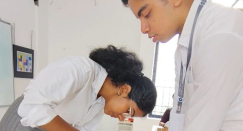 Untitled design (36)